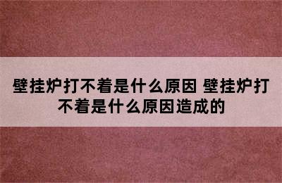 壁挂炉打不着是什么原因 壁挂炉打不着是什么原因造成的